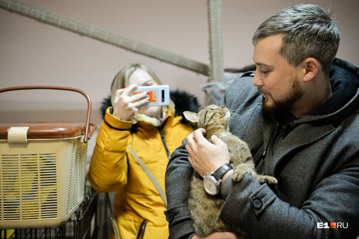Саратовский дальнобойщик вернулся в Екатеринбург за спасенным на трассе котенком