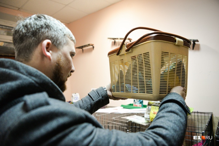 Саратовский дальнобойщик вернулся в Екатеринбург за спасенным на трассе котенком