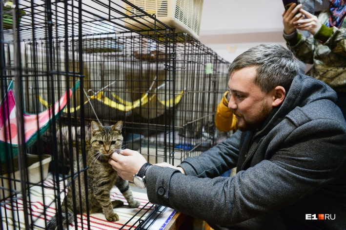 Саратовский дальнобойщик вернулся в Екатеринбург за спасенным на трассе котенком