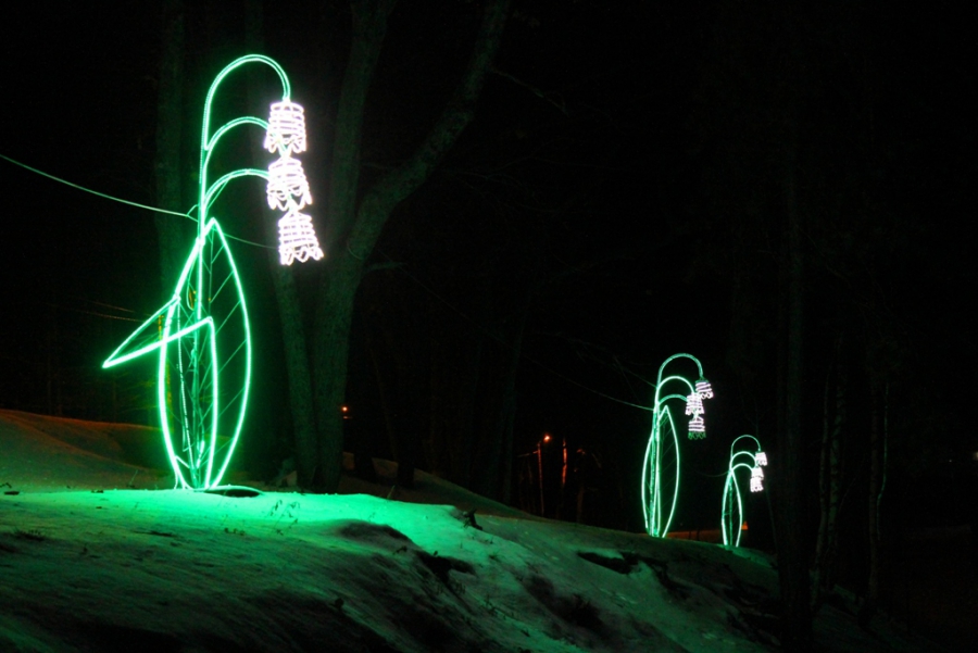 Хвалынские чиновники объяснили украшения из бутылок и картонок на главной елке