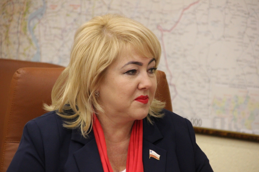 На комитете по бюджету областной думы из-за рядового кадрового вопроса разгорелись дебаты