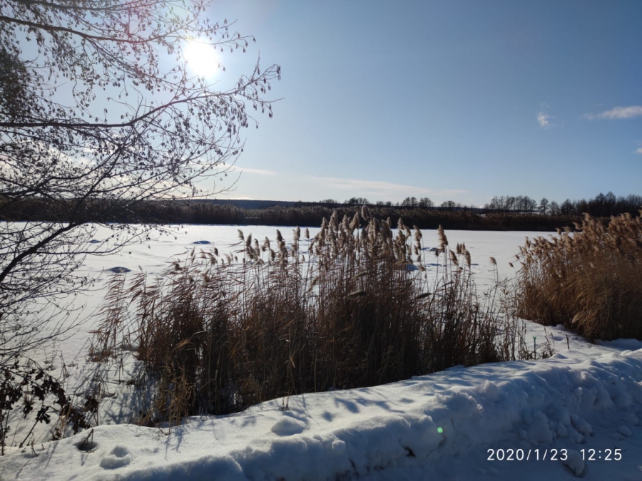 Под Саратовом у скандально известного экс-депутата Красильникова арестовали усадьбу, машины и АЗС