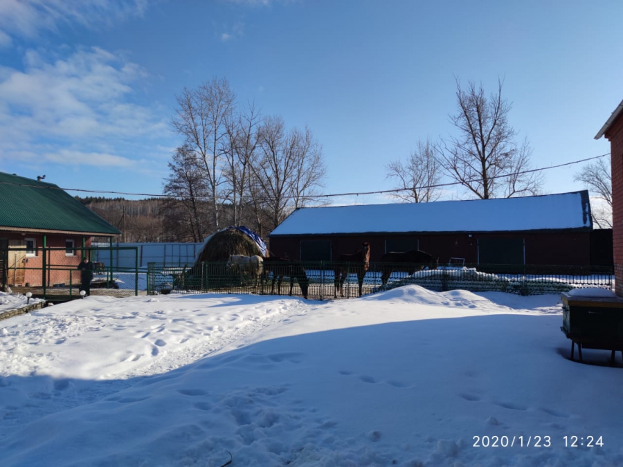 Под Саратовом у скандально известного экс-депутата Красильникова арестовали усадьбу, машины и АЗС