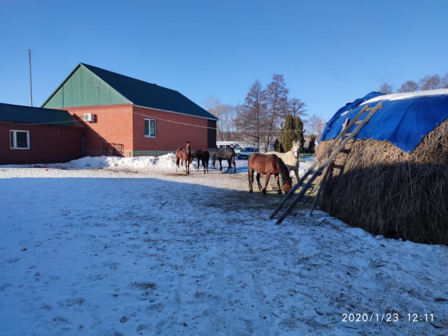 Под Саратовом у скандально известного экс-депутата Красильникова арестовали усадьбу, машины и АЗС