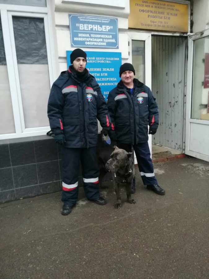 Агрессивная собака покусала двоих полицейских у здания СК. Возбуждено дело