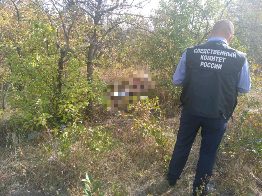 Жителя Вольска посадили на 19 лет за изнасилование и убийство прохожей