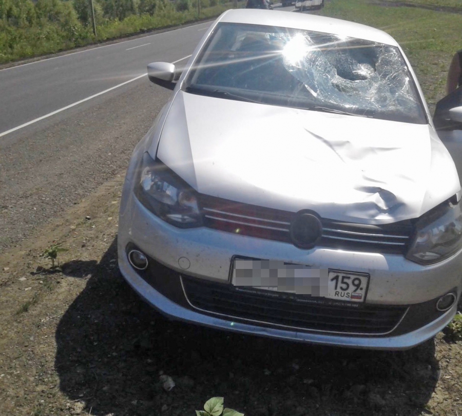 В Хвалынске осудили виновницу гибели главы дорожной организации