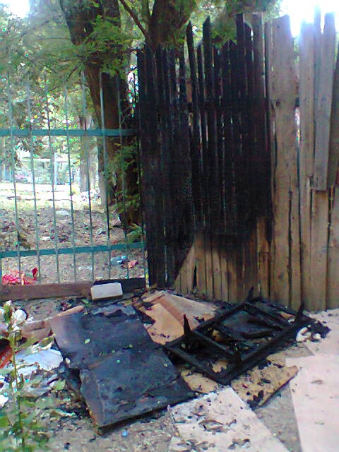 Во дворе дома неизвестные заживо сожгли новорожденных щенков