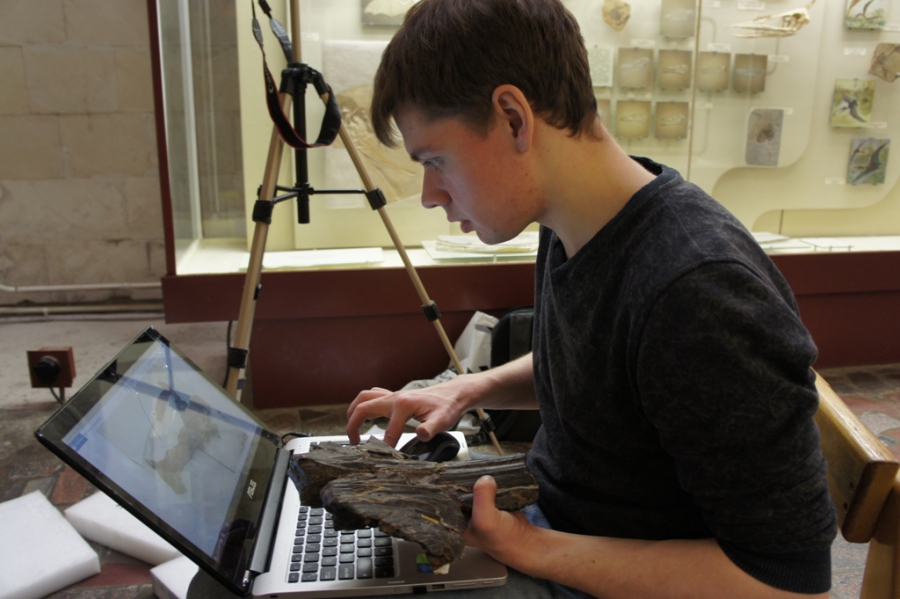 Под Саратовом нашли останки плиозавра, жившего 100 млн лет назад