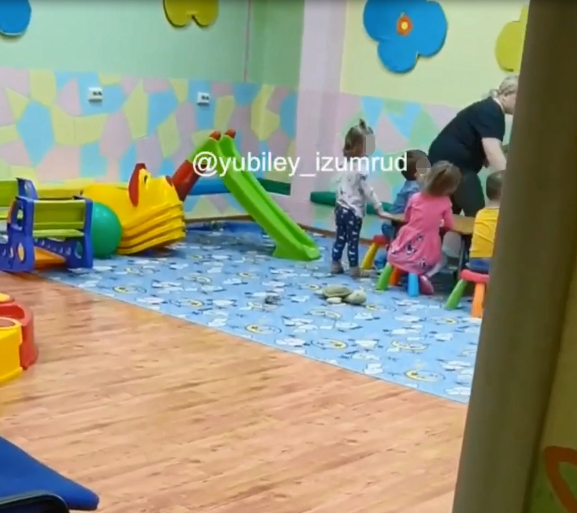 Саратовцы шокированы жестокостью воспитателя в садике: «Девочке чуть руку не оторвала»