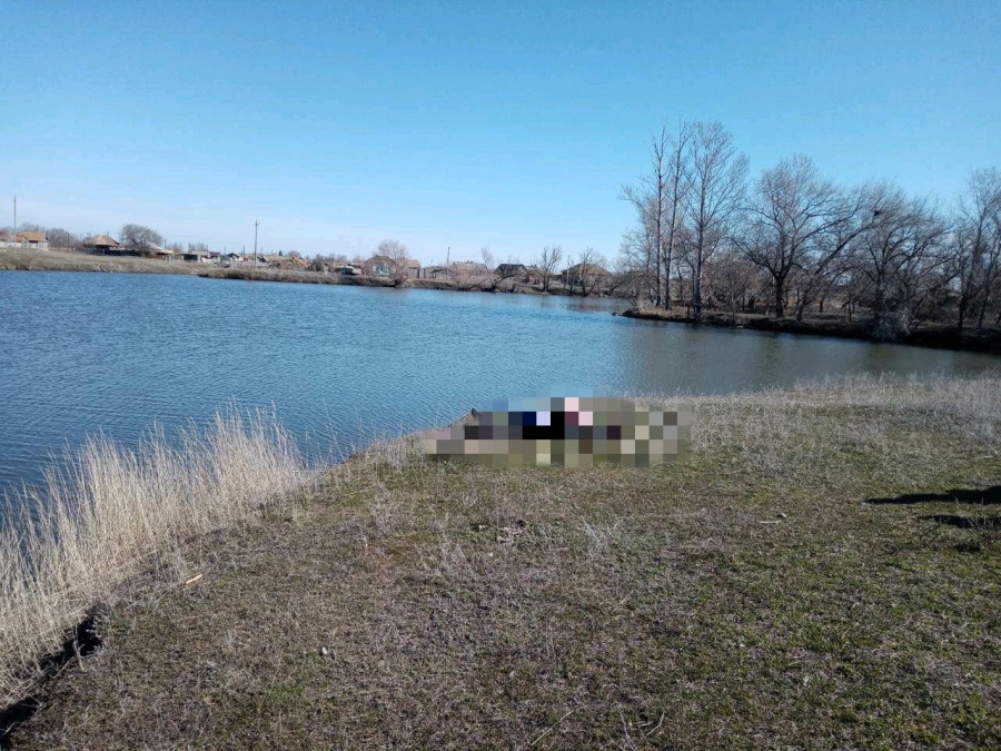 В балаковском водоеме нашли тело пропавшей 75-летней женщины