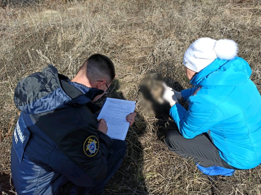 Охотники в Перелюбском районе наткнулись на человеческие кости