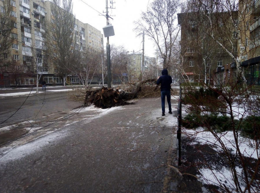 В Саратове сильный ветер валит деревья и обрывает провода