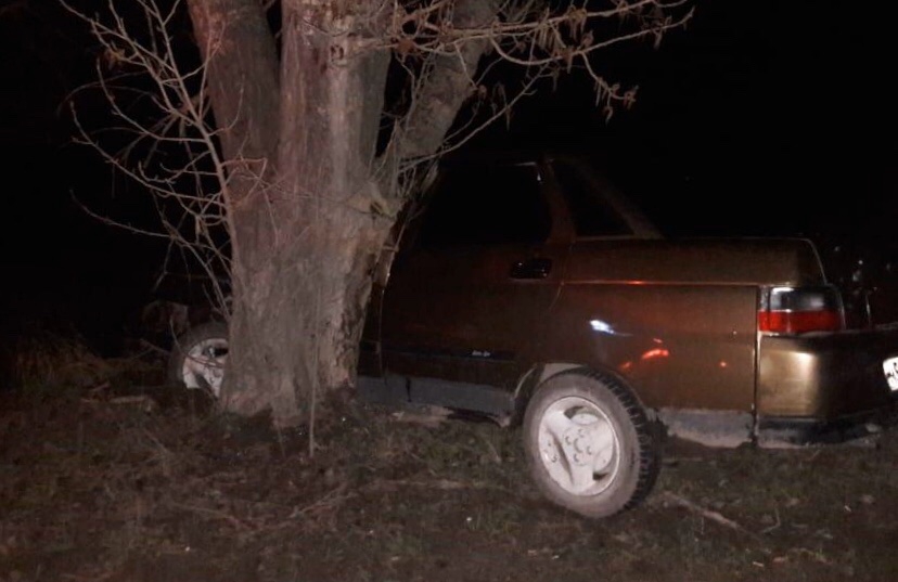 Водитель «ВАЗа» слетел с ночной дороги и разбился о дерево