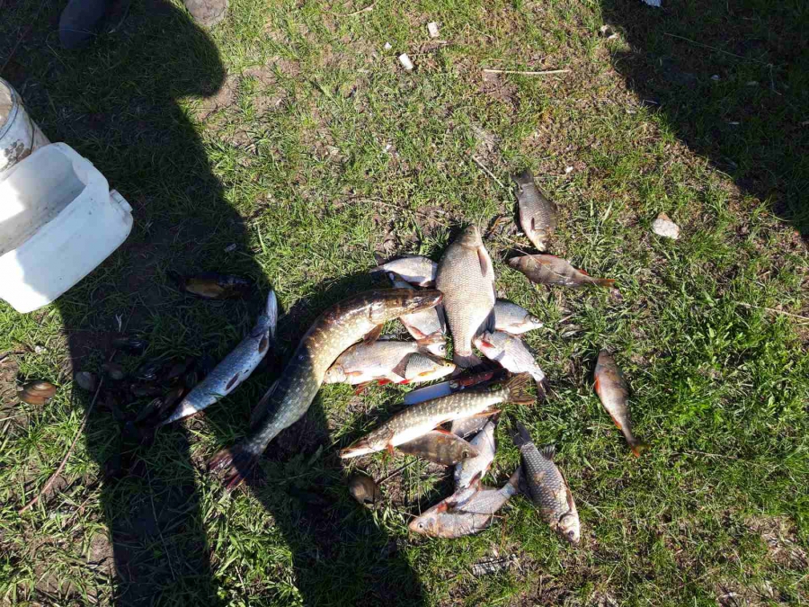 В Дергачевском районе задержали браконьера с 90-метровым орудием