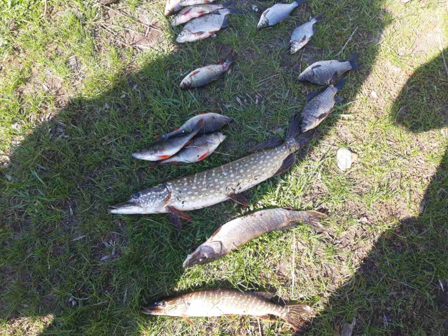 В Дергачевском районе задержали браконьера с 90-метровым орудием