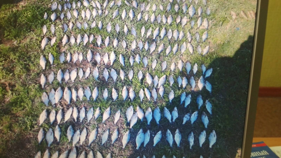 В Дергачевском районе задержали браконьера с 90-метровым орудием