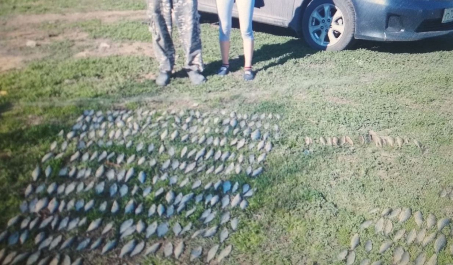 В Дергачевском районе задержали браконьера с 90-метровым орудием