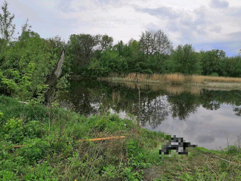 В реке у Романовки нашли труп пропавшего в ноябре мужчины