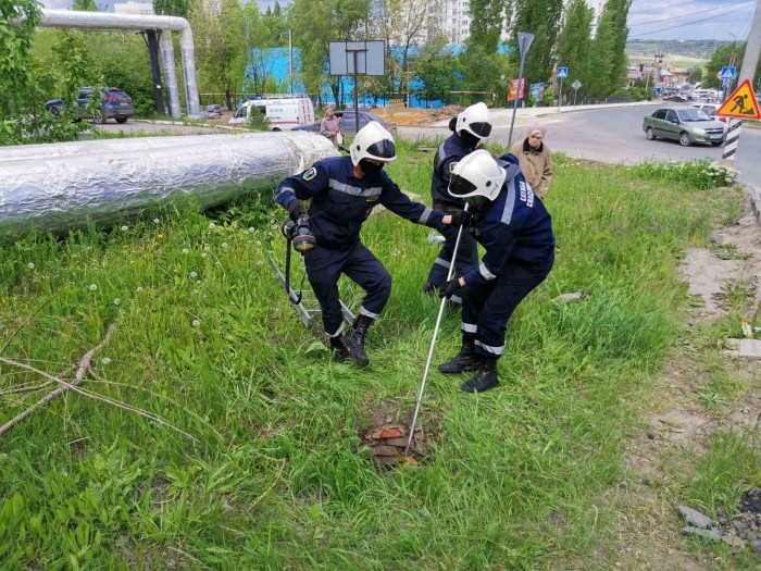 Спасатели достали собаку из трехметрового колодца на Чехова
