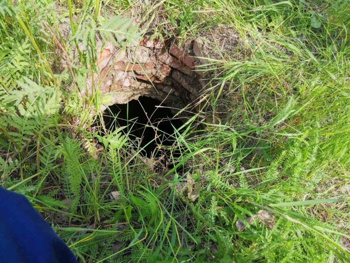 Спасатели достали собаку из трехметрового колодца на Чехова