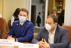 Саратовских чиновников обвинили в массовой вырубке деревьев без инвентаризации