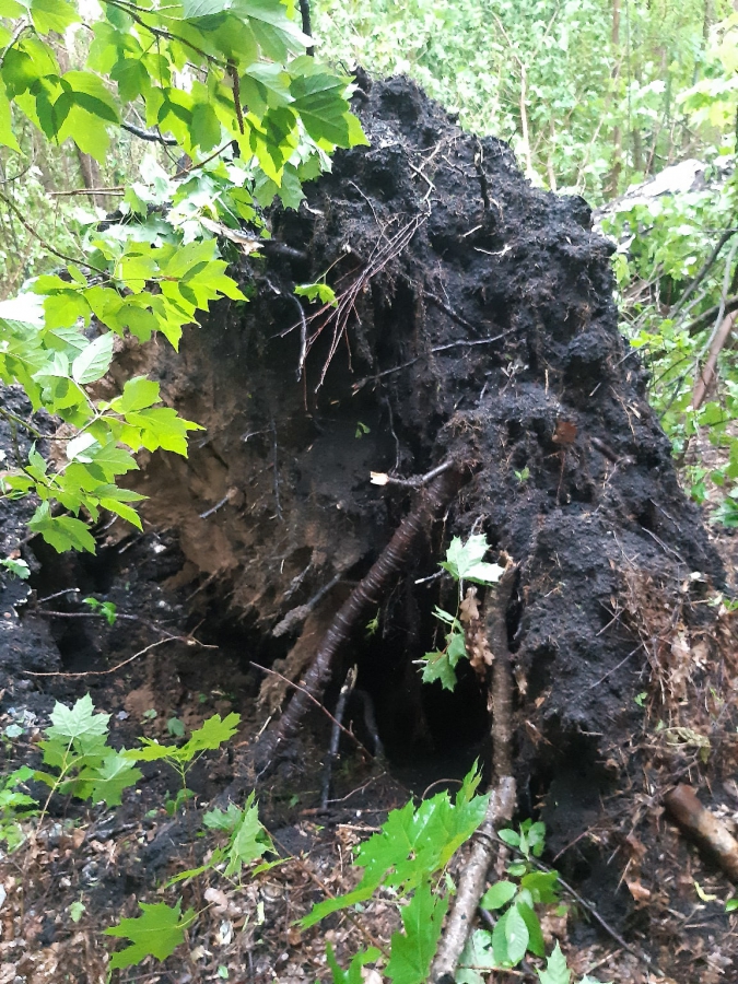Жители Саратовской области рассказали о граде размером с яйцо