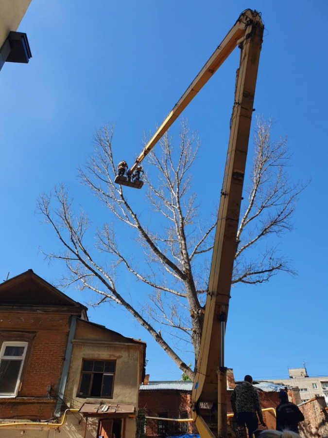 Спасатели убрали опасное для пешеходов дерево на Рахова
