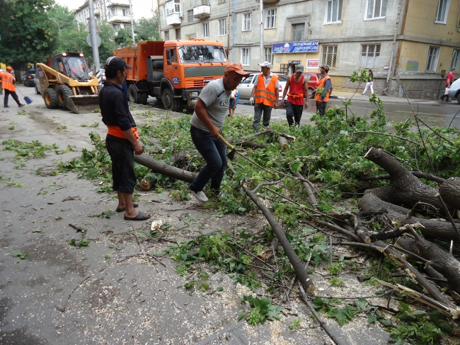 На Чернышевского упавшее дерево стало причиной затора