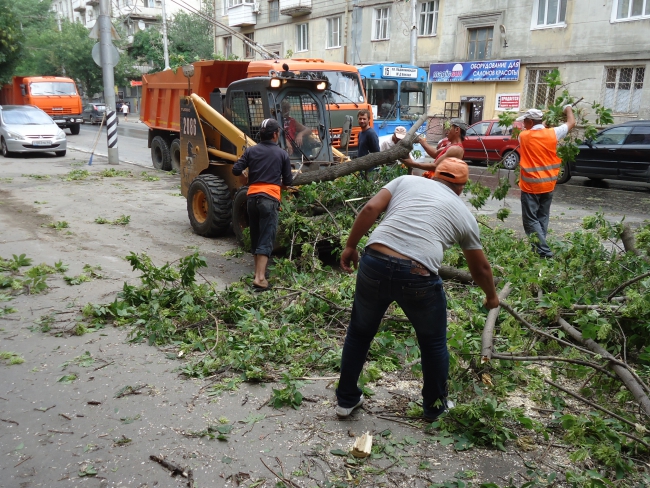 На Чернышевского упавшее дерево стало причиной затора