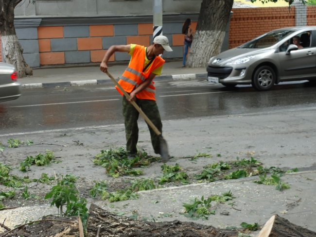 На Чернышевского упавшее дерево стало причиной затора