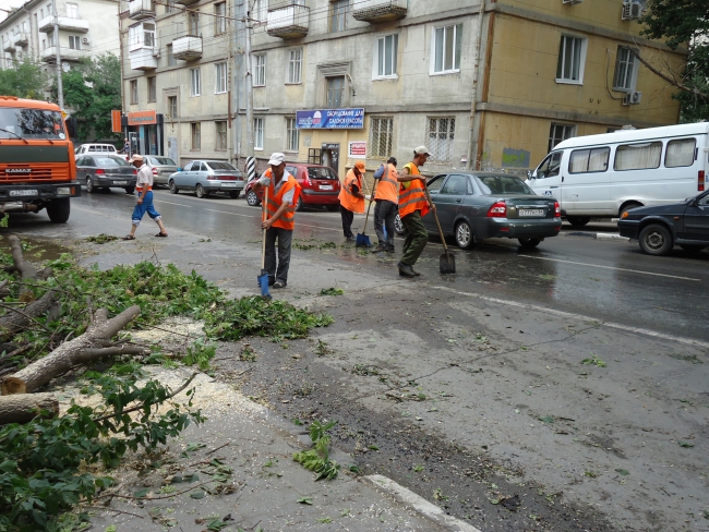 На Чернышевского упавшее дерево стало причиной затора