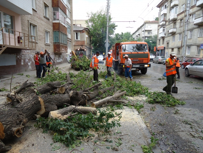 На Чернышевского упавшее дерево стало причиной затора