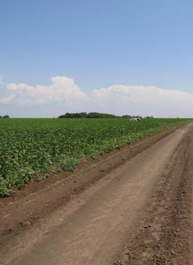 Под Марксом пассажирка умерла в перевернувшейся машине, еще 3 ранены
