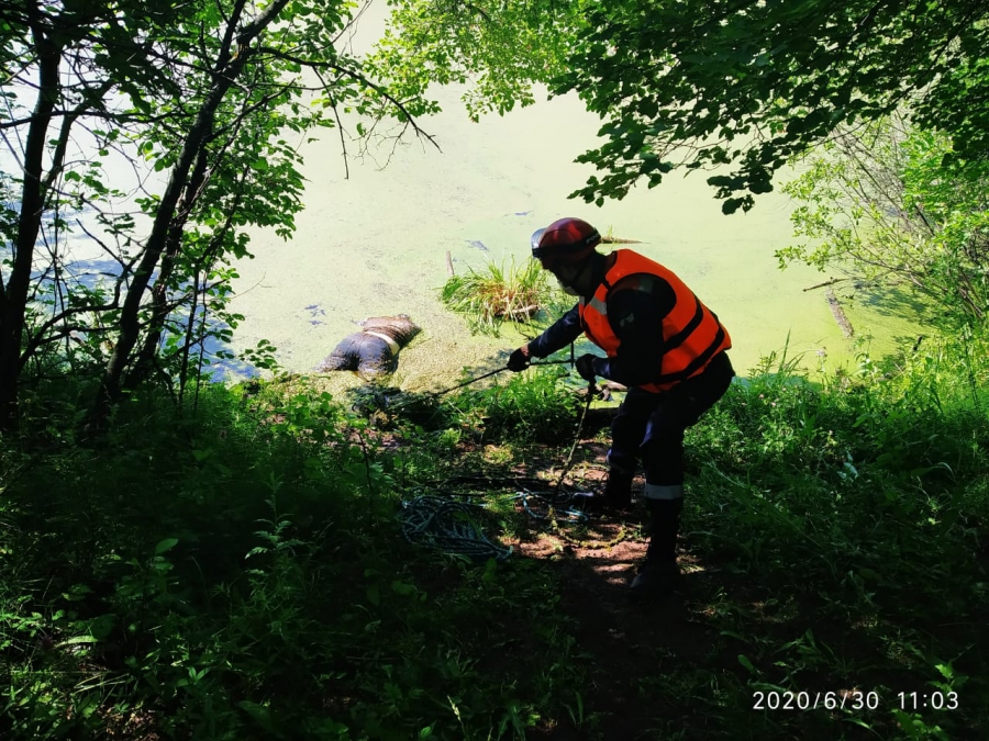 В озере Холодное нашли труп 37-летнего пропавшего саратовца