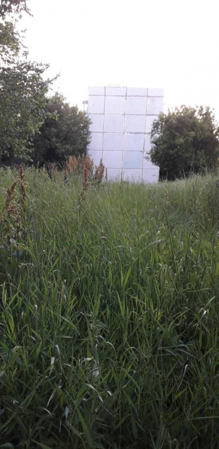 Прокуратура внесла представление чиновникам за заросшее травой ЗАТО Светлый