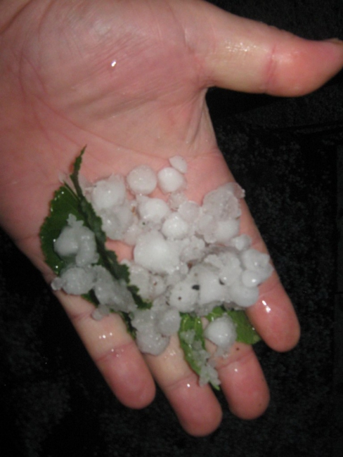 Саратовцы сообщают о крупном граде размером с вишню