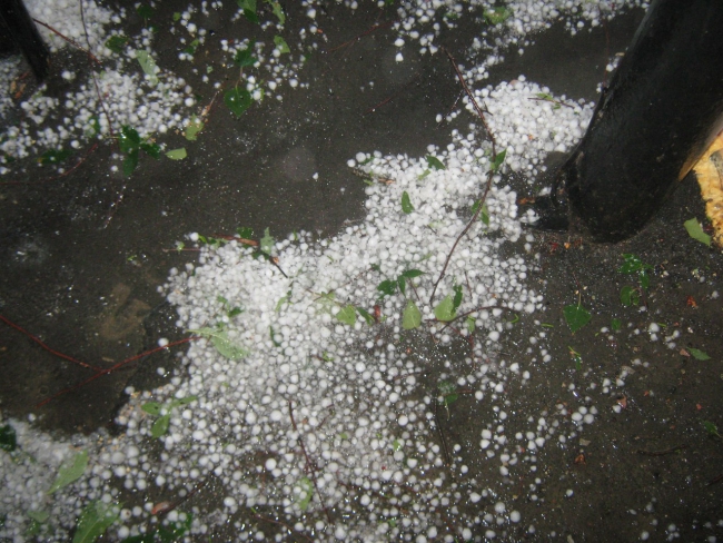 Саратовцы сообщают о крупном граде размером с вишню