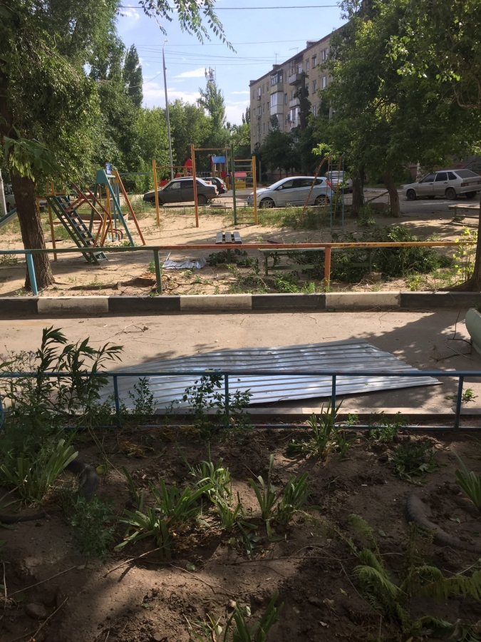 В Саратове порывы ветра валили деревья на дома и машины