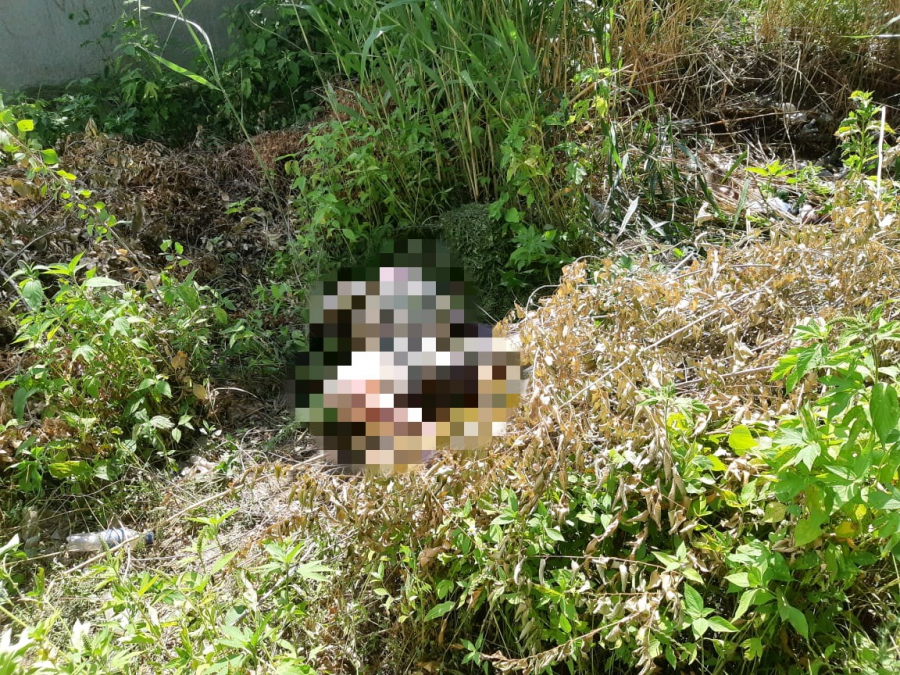 В Энгельсе возле городского морга обнаружили труп мужчины