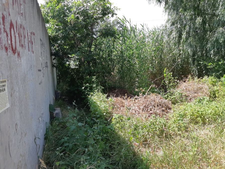 В Энгельсе возле городского морга обнаружили труп мужчины