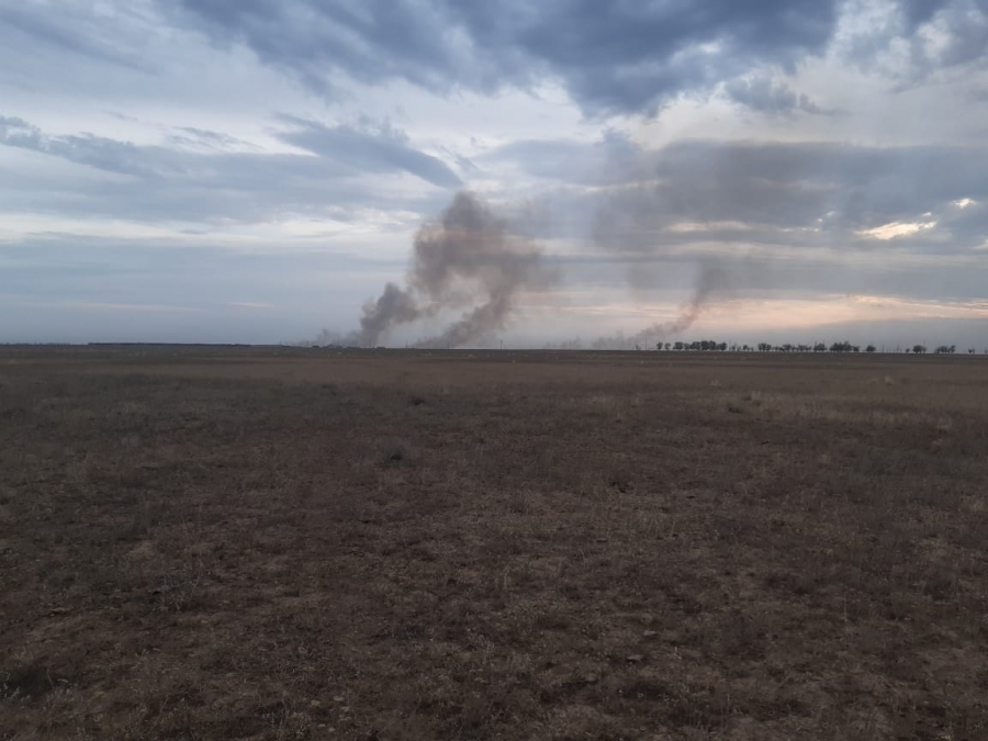 Под Саратовом пастух пытался спасти стадо от природного пожара и сгорел