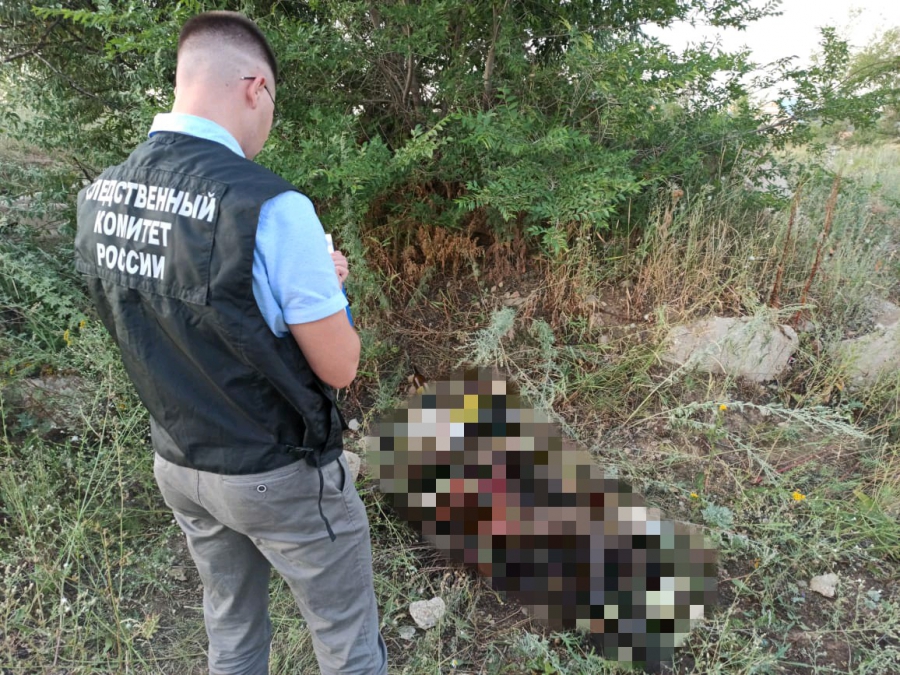 В Пугачеве обнаружили тело пропавшей 2 недели назад женщины
