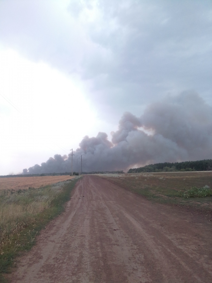 В Духовницком районе горело более 20 гектаров соснового леса