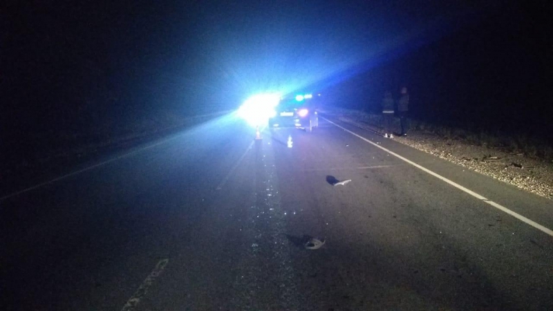 Саратовец за рулем «Хендэ» задавил мужчину в Рязанской области