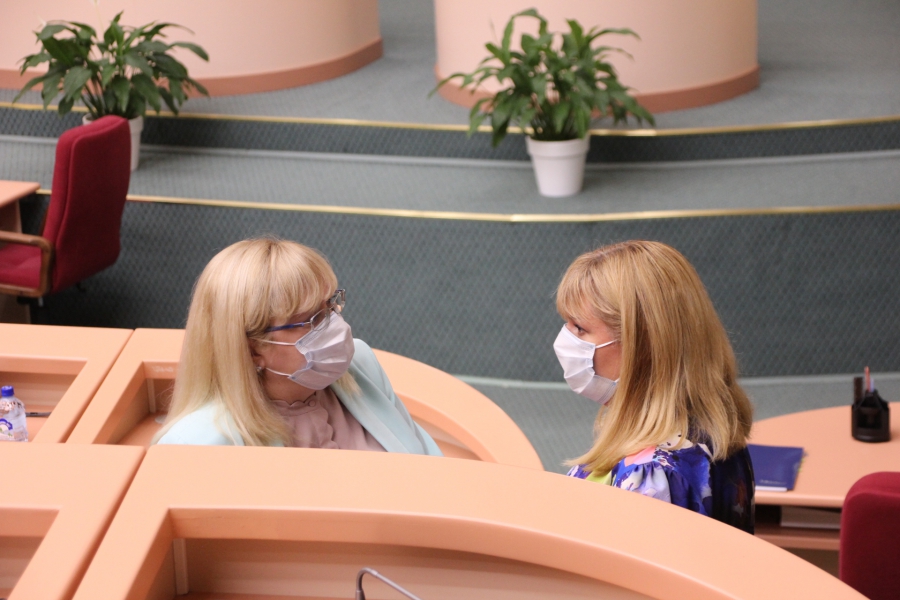 Депутаты приняли отчет министра об успешном исполнении бюджета-2019