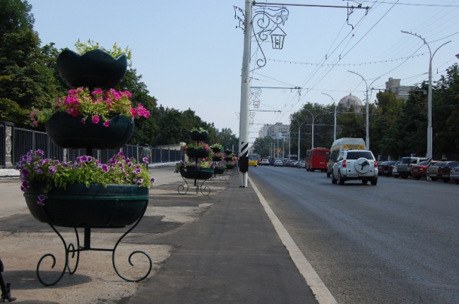 На Московской появились ударопрочные цветочные «фонтаны»