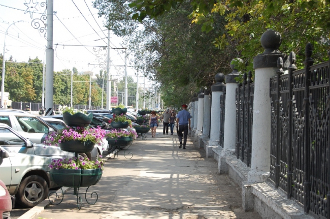 На Московской появились ударопрочные цветочные «фонтаны»