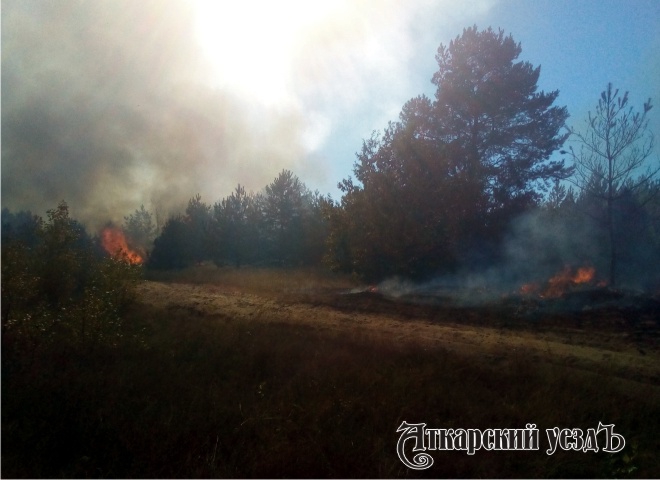 В Аткарском районе горело 7 гектаров соснового леса