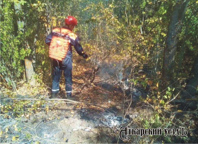 В Аткарском районе горело 7 гектаров соснового леса